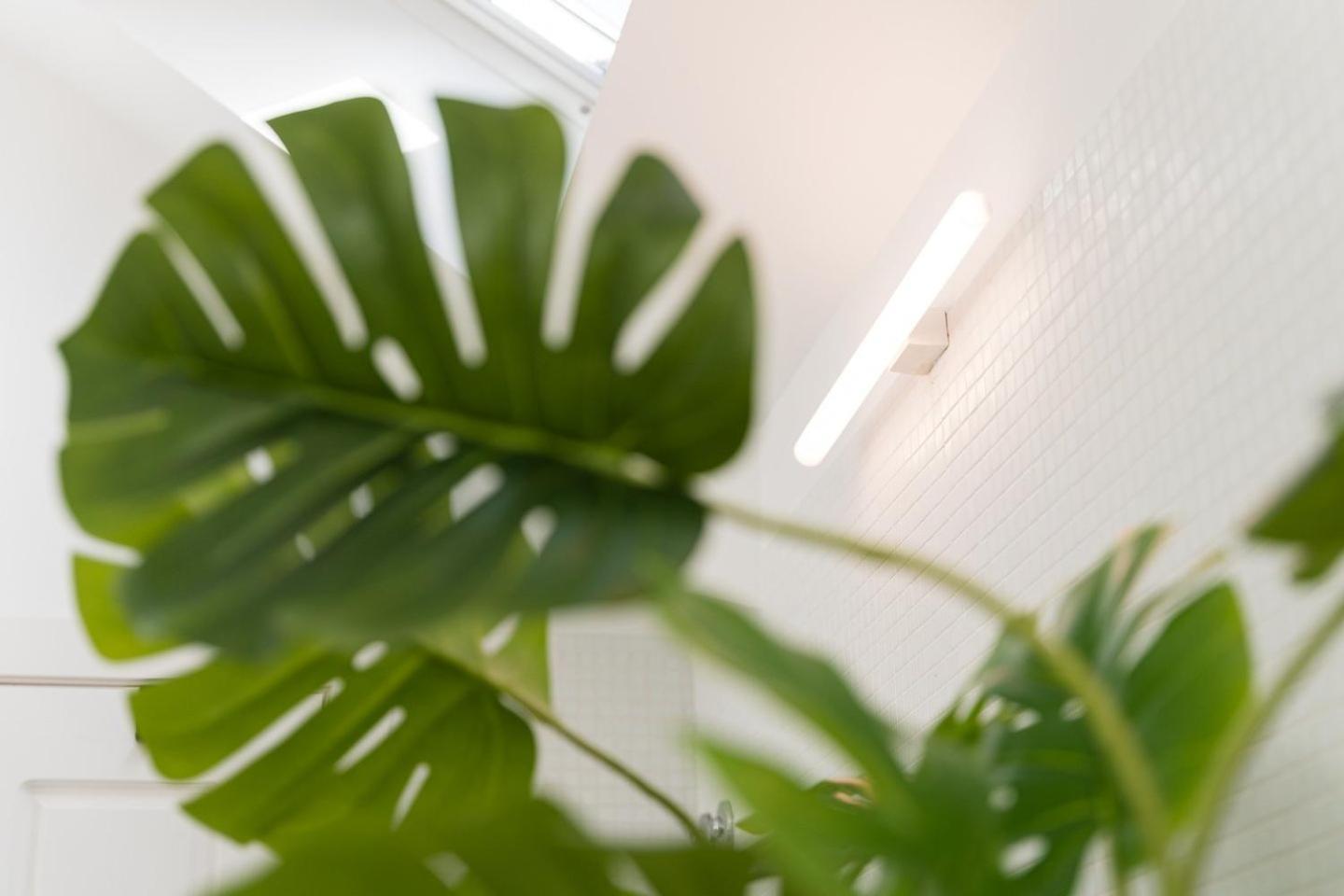Guestready - Spacious And Modern Apt W/ Skylight 波尔图 外观 照片